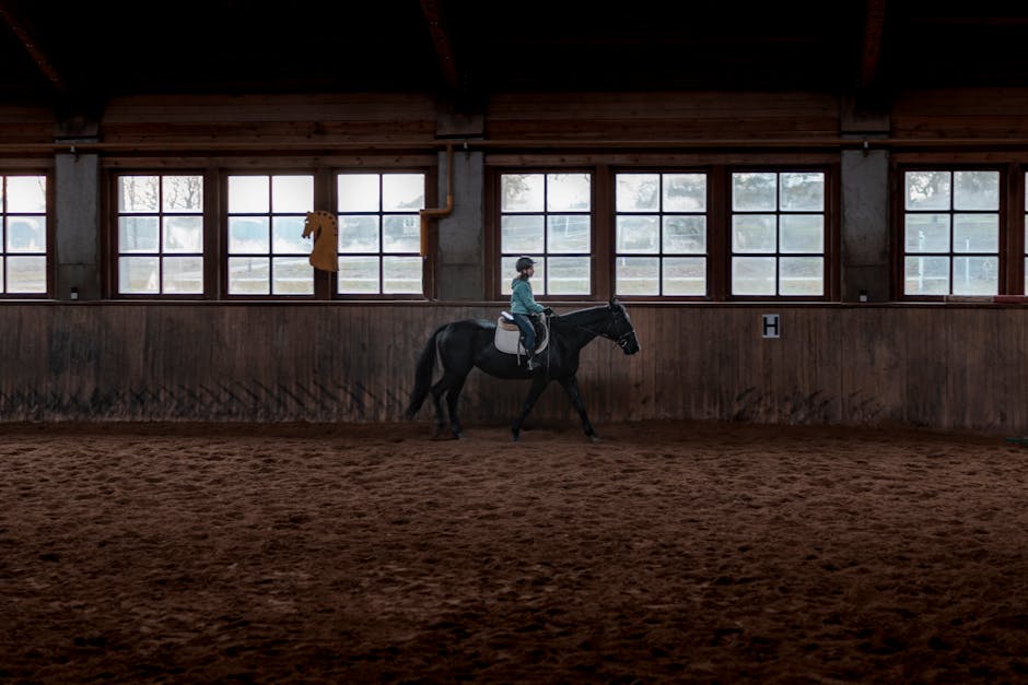 Preparing for Your First Dressage Competition: What to Expect